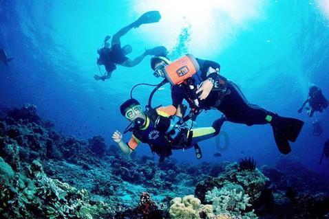 全国典型案例,湖南6个拟获评